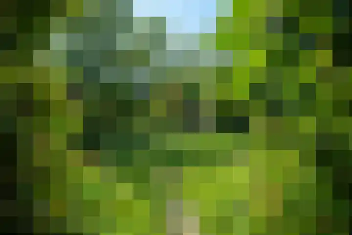 Kerklaan 13 Haren Gn thumbnail 50