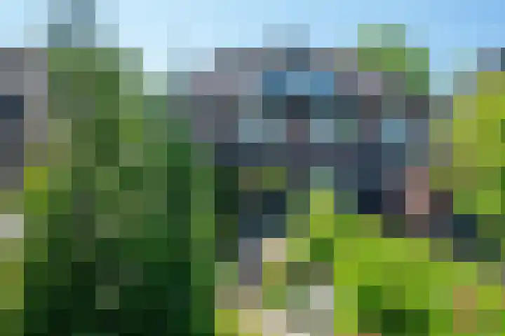 Kerklaan 13 Haren Gn thumbnail 53