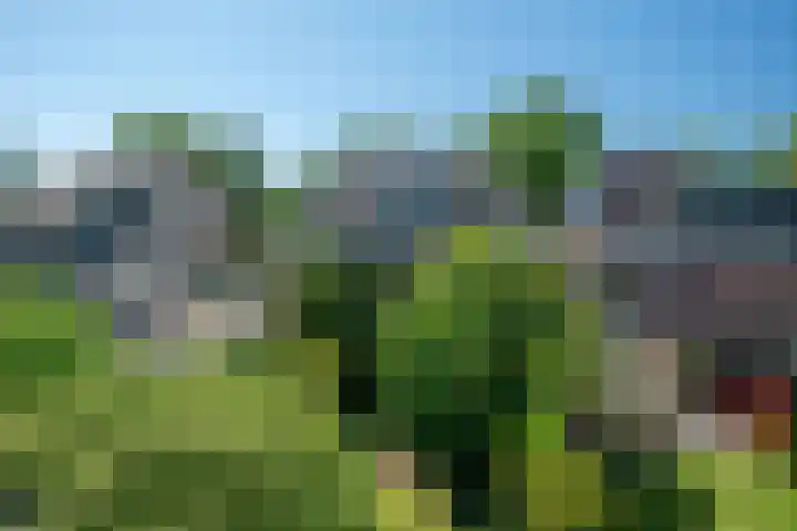 Kerklaan 13 Haren Gn thumbnail 54
