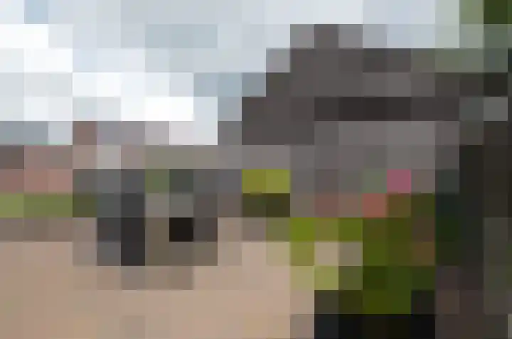 Kerklaan 13 Smilde thumbnail 36