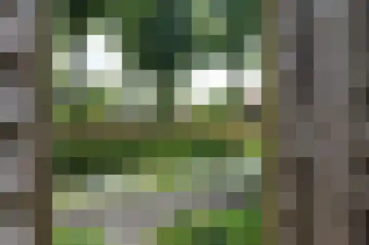 Kerklaan 13 Smilde thumbnail 37