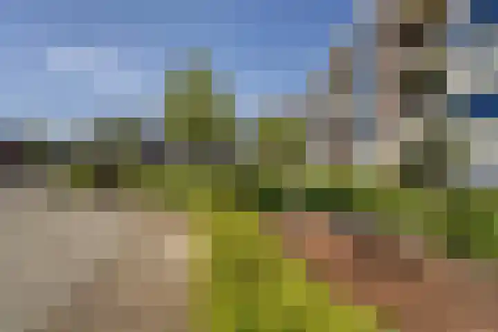 Kerklaan 13 Zoeterwoude thumbnail 22