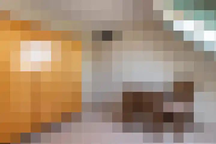 Kerklaan 14 Lopik thumbnail 37