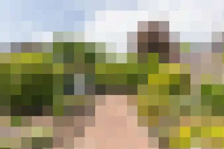 Kerklaan 14 Lopik thumbnail 51