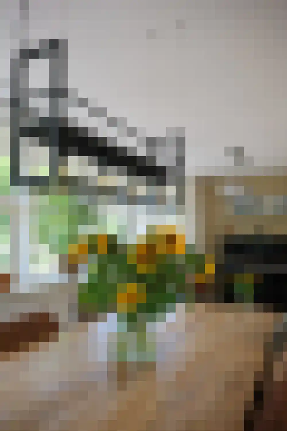 Kerklaan 14 Veenhuizen thumbnail 17