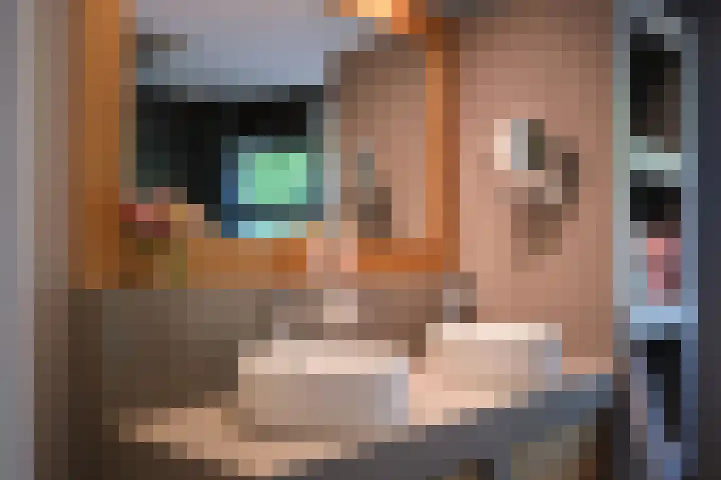 Kerklaan 14 Veenhuizen thumbnail 29
