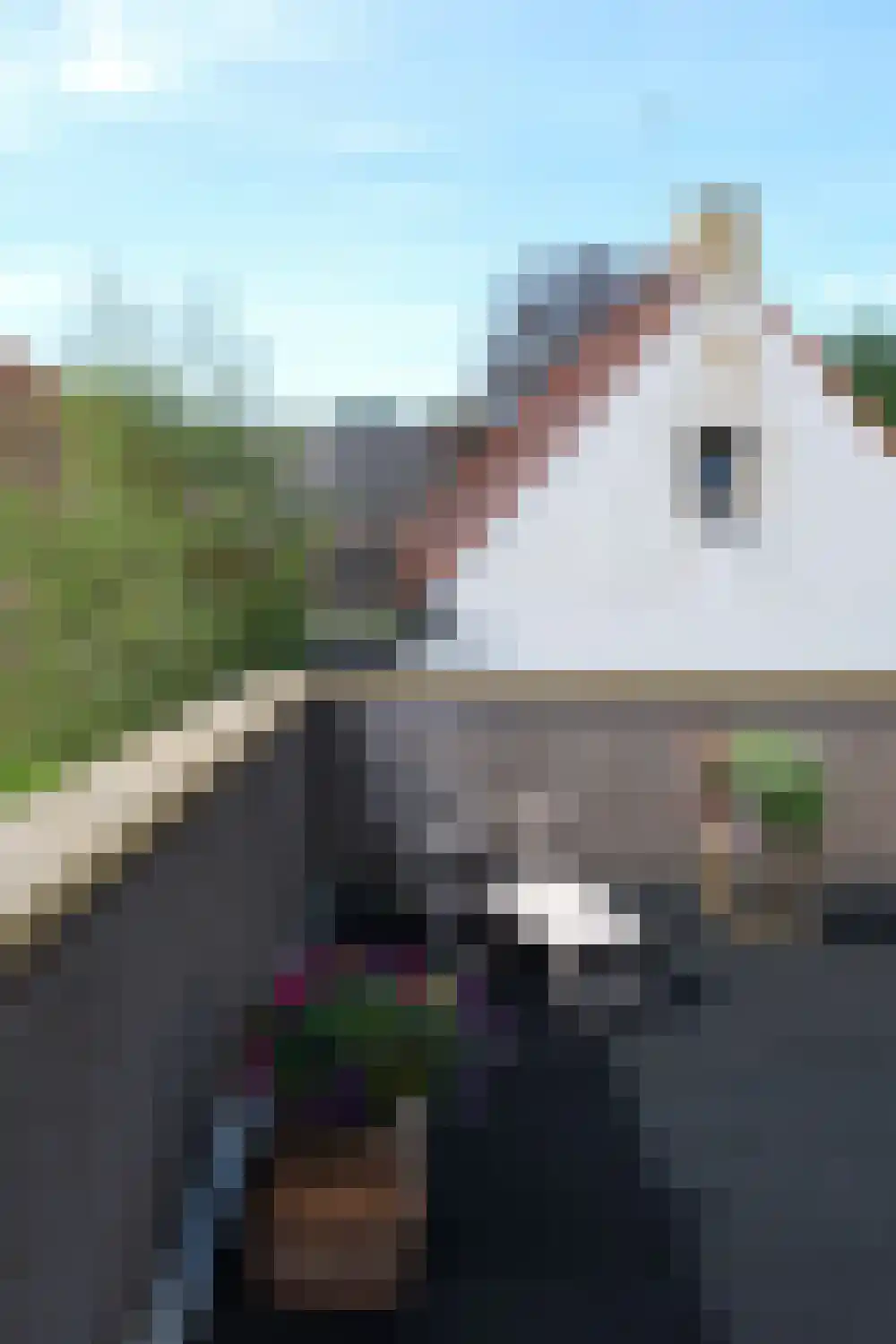 Kerklaan 14 Veenhuizen thumbnail 40