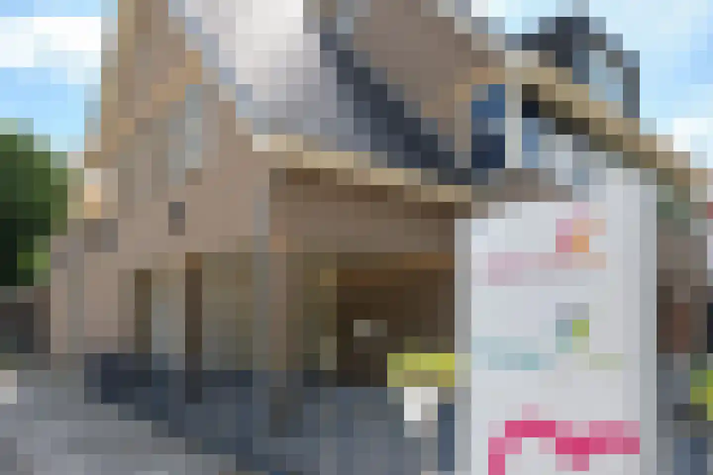Kerklaan 14 Veenhuizen thumbnail 5