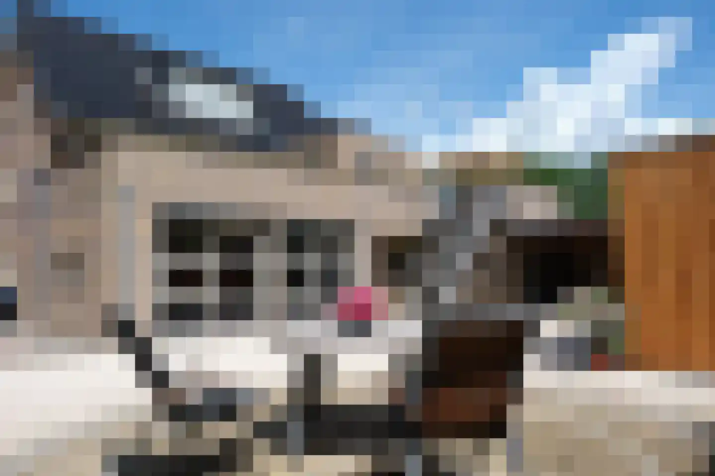 Kerklaan 14 Veenhuizen thumbnail 80