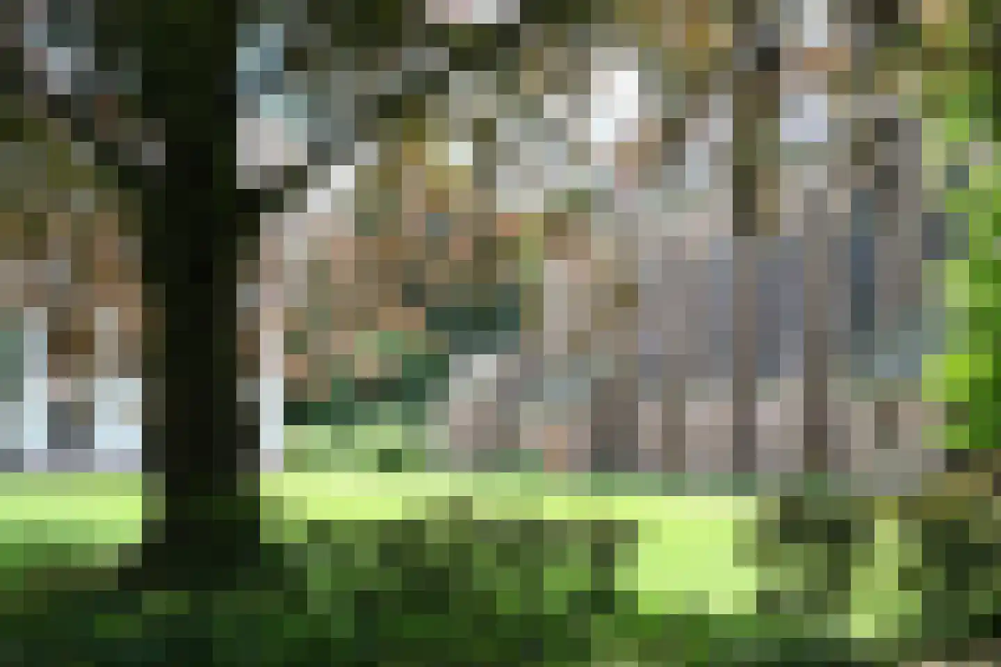 Kerklaan 14 Veenhuizen thumbnail 90