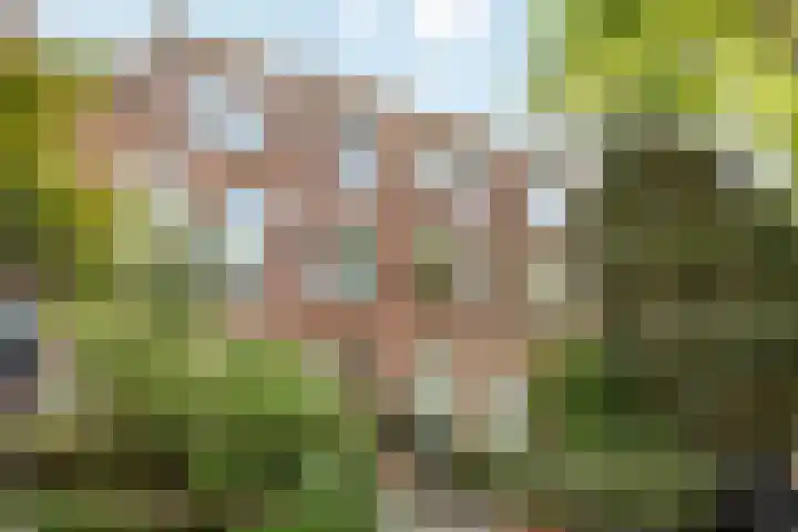 Kerklaan 149 Rijswijk thumbnail 35