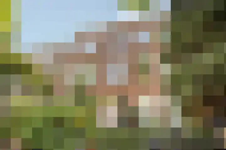 Kerklaan 149 Rijswijk thumbnail 36