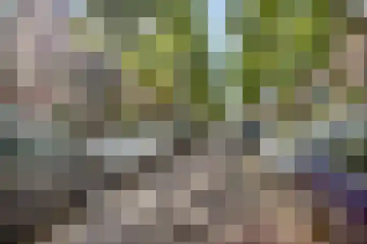 Kerklaan 149 Rijswijk thumbnail 37