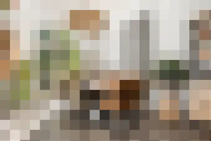 Kerklaan 149 Rijswijk thumbnail 6