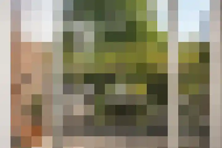 Kerklaan 149 Rijswijk thumbnail 7