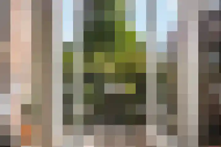 Kerklaan 149 Rijswijk thumbnail 8