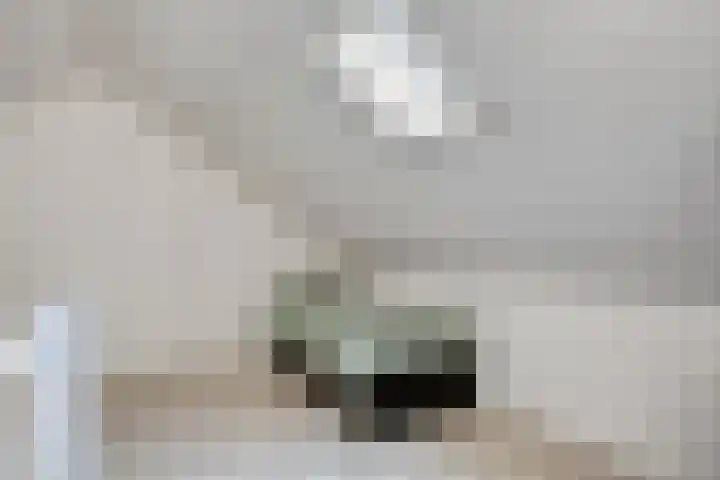 Kerklaan 15 Heteren thumbnail 33
