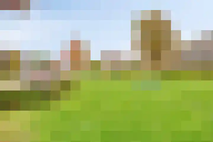 Kerklaan 15 Heteren thumbnail 42