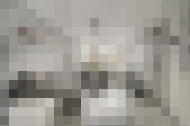 Kerklaan 15 Zoeterwoude thumbnail 10