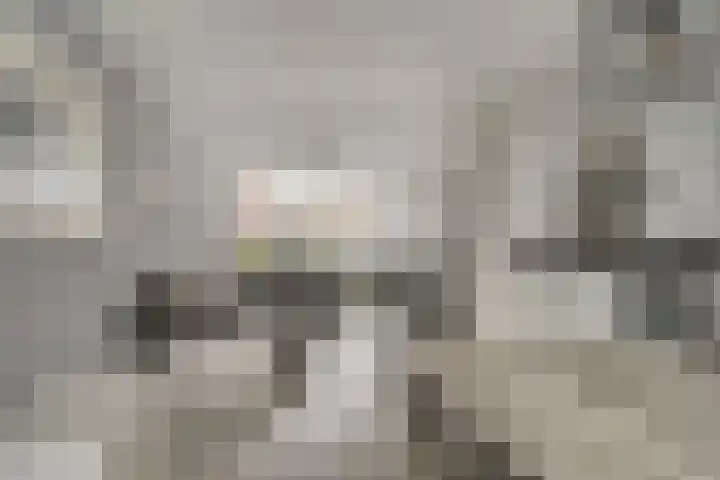 Kerklaan 15 Zoeterwoude thumbnail 11