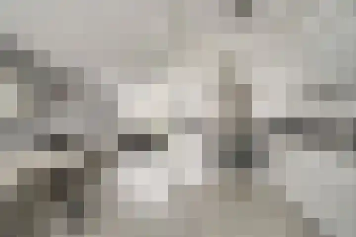 Kerklaan 15 Zoeterwoude thumbnail 12