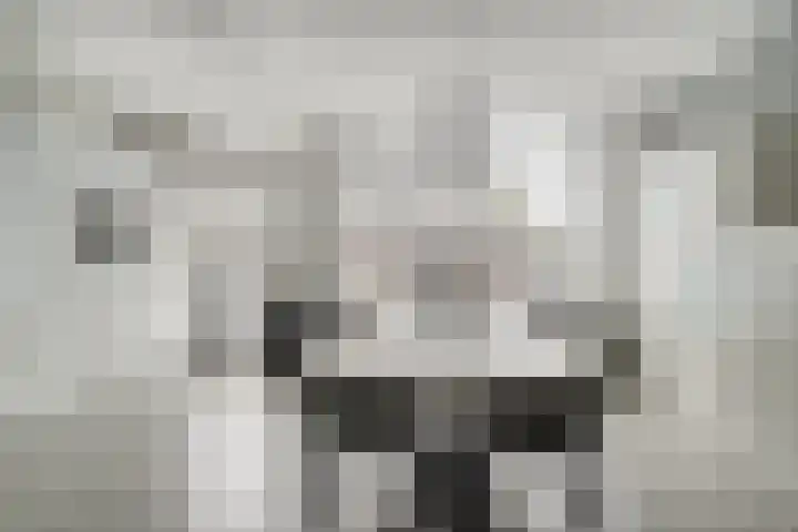 Kerklaan 15 Zoeterwoude thumbnail 16