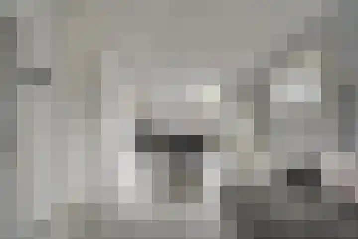 Kerklaan 15 Zoeterwoude thumbnail 17