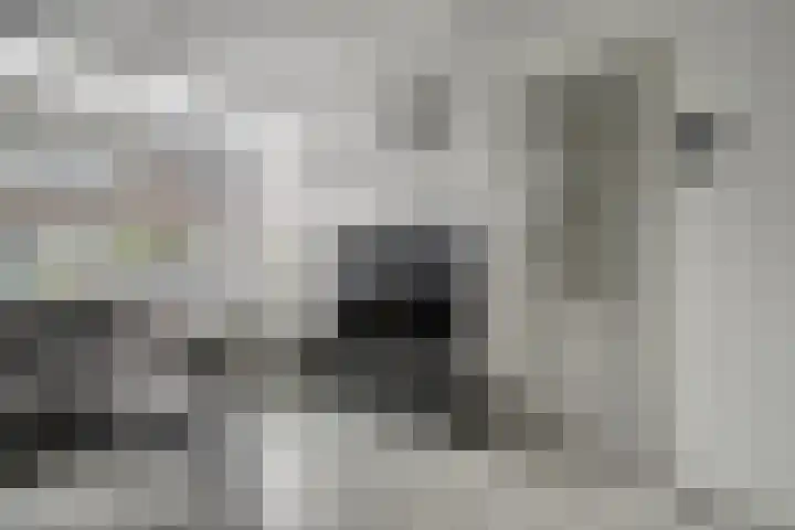 Kerklaan 15 Zoeterwoude thumbnail 19