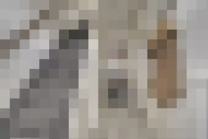 Kerklaan 15 Zoeterwoude thumbnail 20