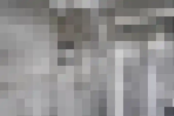 Kerklaan 15 Zoeterwoude thumbnail 27