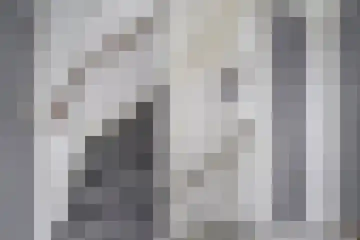 Kerklaan 15 Zoeterwoude thumbnail 29