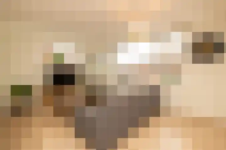 Kerklaan 16 A Wateringen thumbnail 11