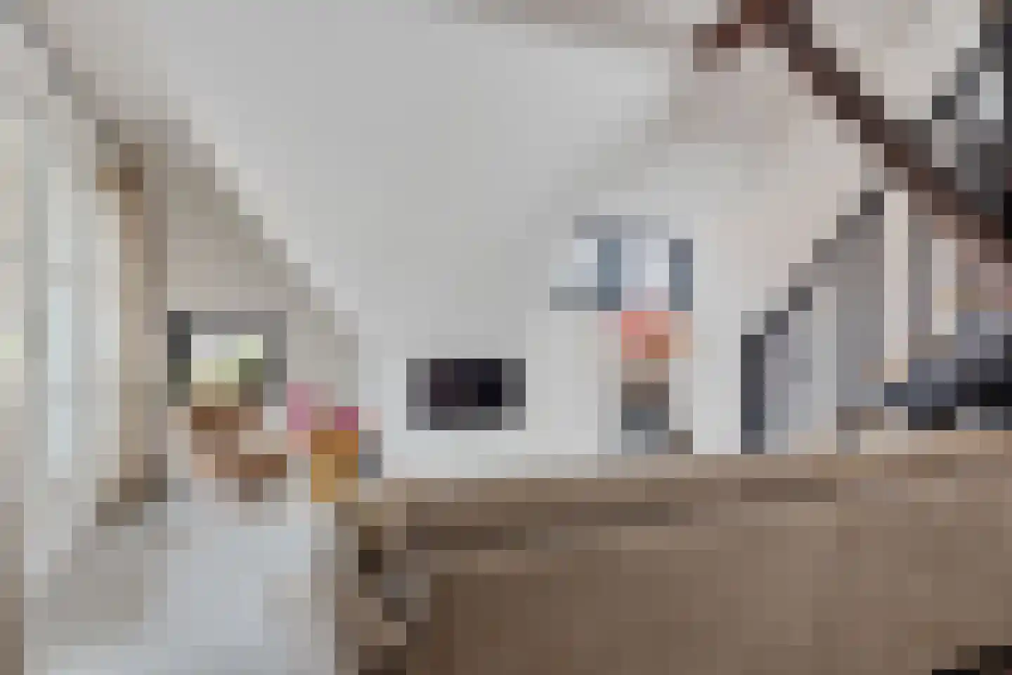 Kerklaan 16 f Akersloot thumbnail 6