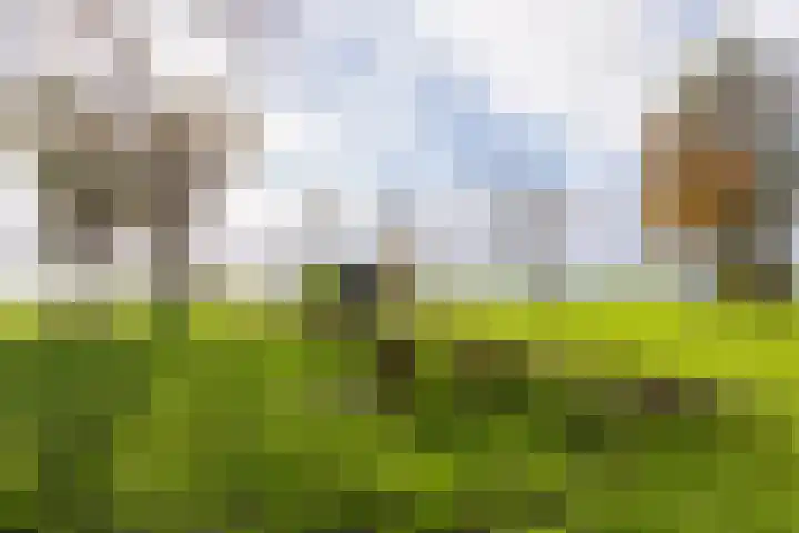 Kerklaan 16 h Akersloot thumbnail 39