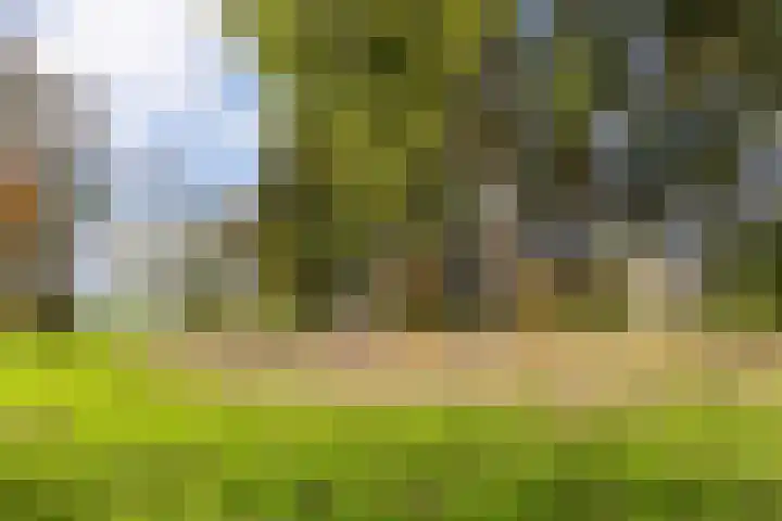 Kerklaan 16 h Akersloot thumbnail 40