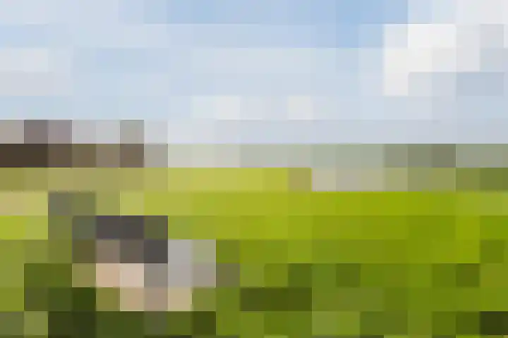 Kerklaan 16 h Akersloot thumbnail 42