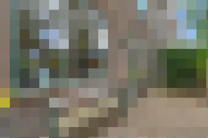 Kerklaan 162 Rijswijk thumbnail 38