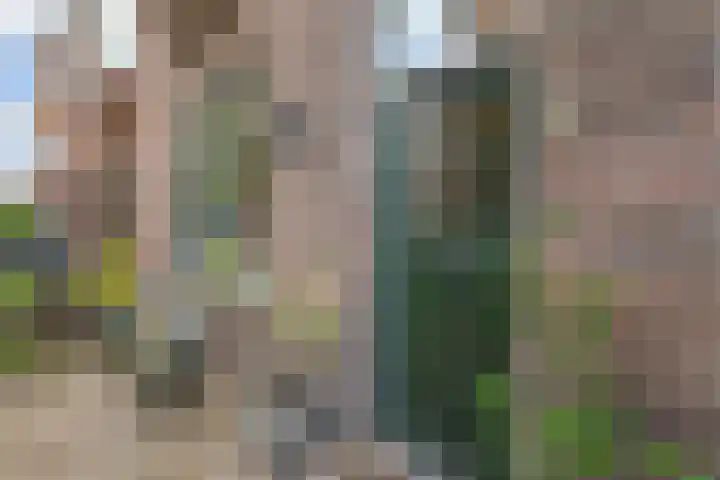 Kerklaan 162 Rijswijk thumbnail 5