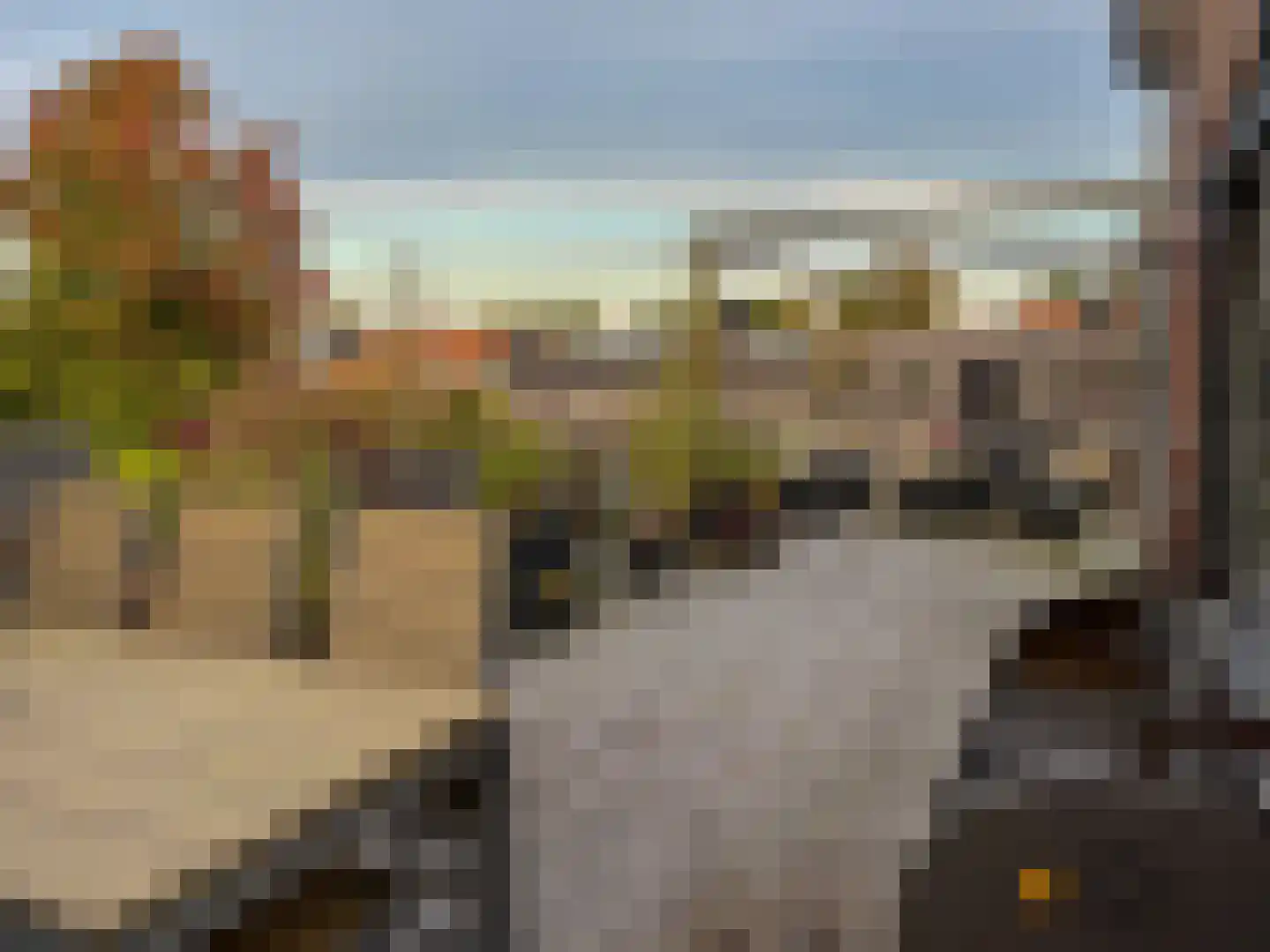 Kerklaan 17 Amstelhoek thumbnail 37