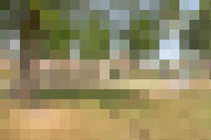 Kerklaan 17 Roermond thumbnail 36