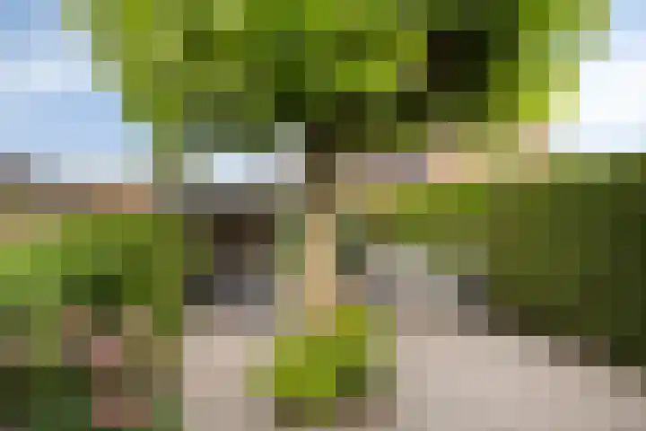 Kerklaan 17 Roermond thumbnail 4