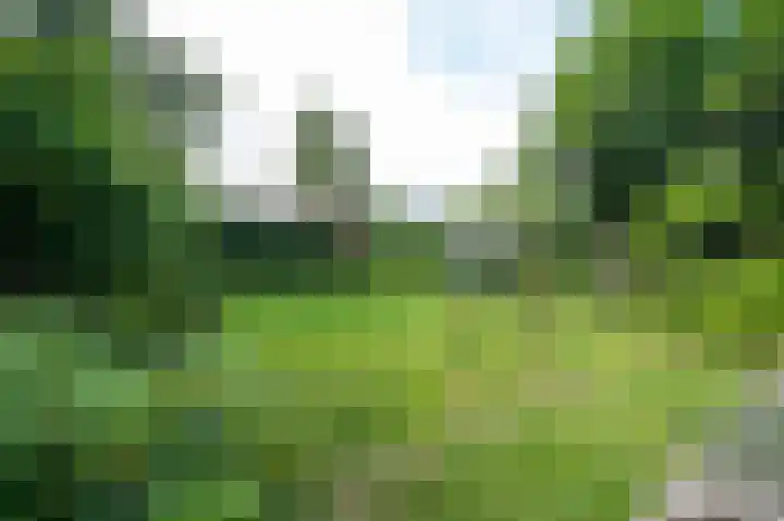 Kerklaan 18 Vinkeveen thumbnail 15