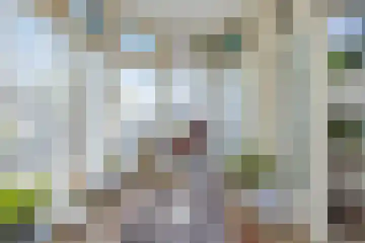 Kerklaan 181 Rijswijk thumbnail 17
