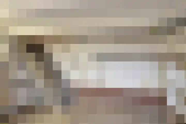 Kerklaan 181 Rijswijk thumbnail 66