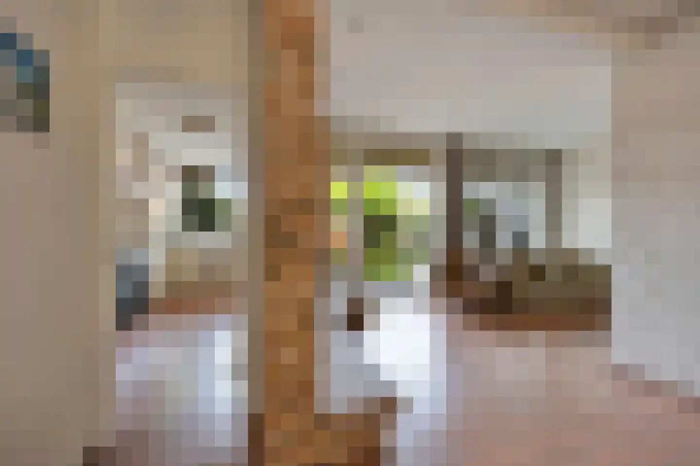 Kerklaan 194 Rijswijk thumbnail 18