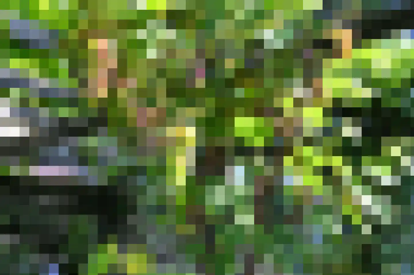 Kerklaan 194 Rijswijk thumbnail 32