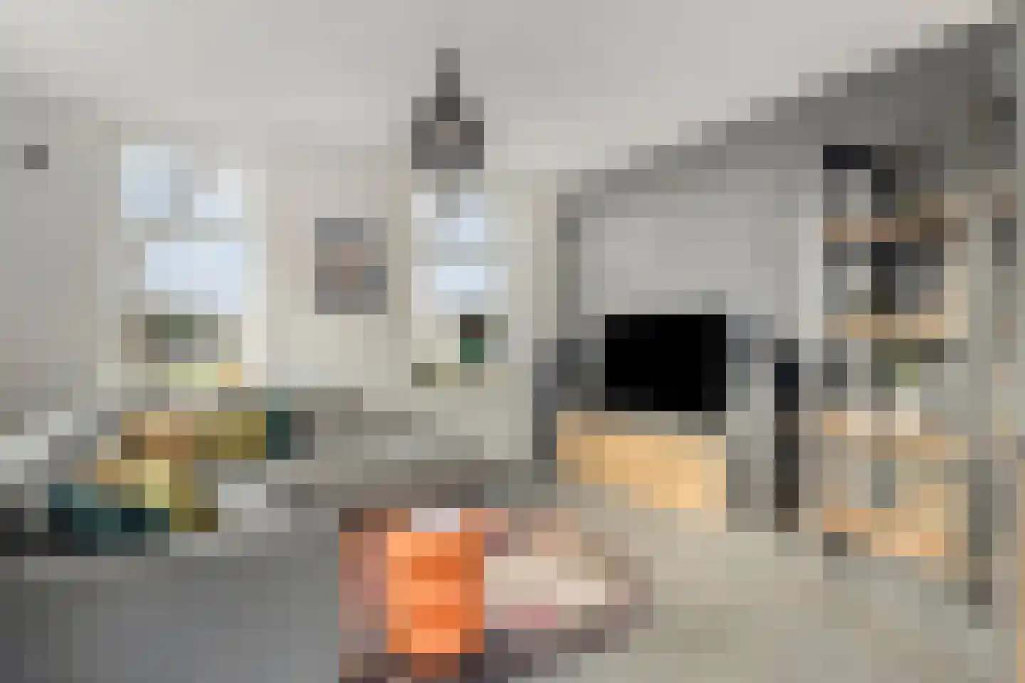 Kerklaan 2 Schoonoord thumbnail 10