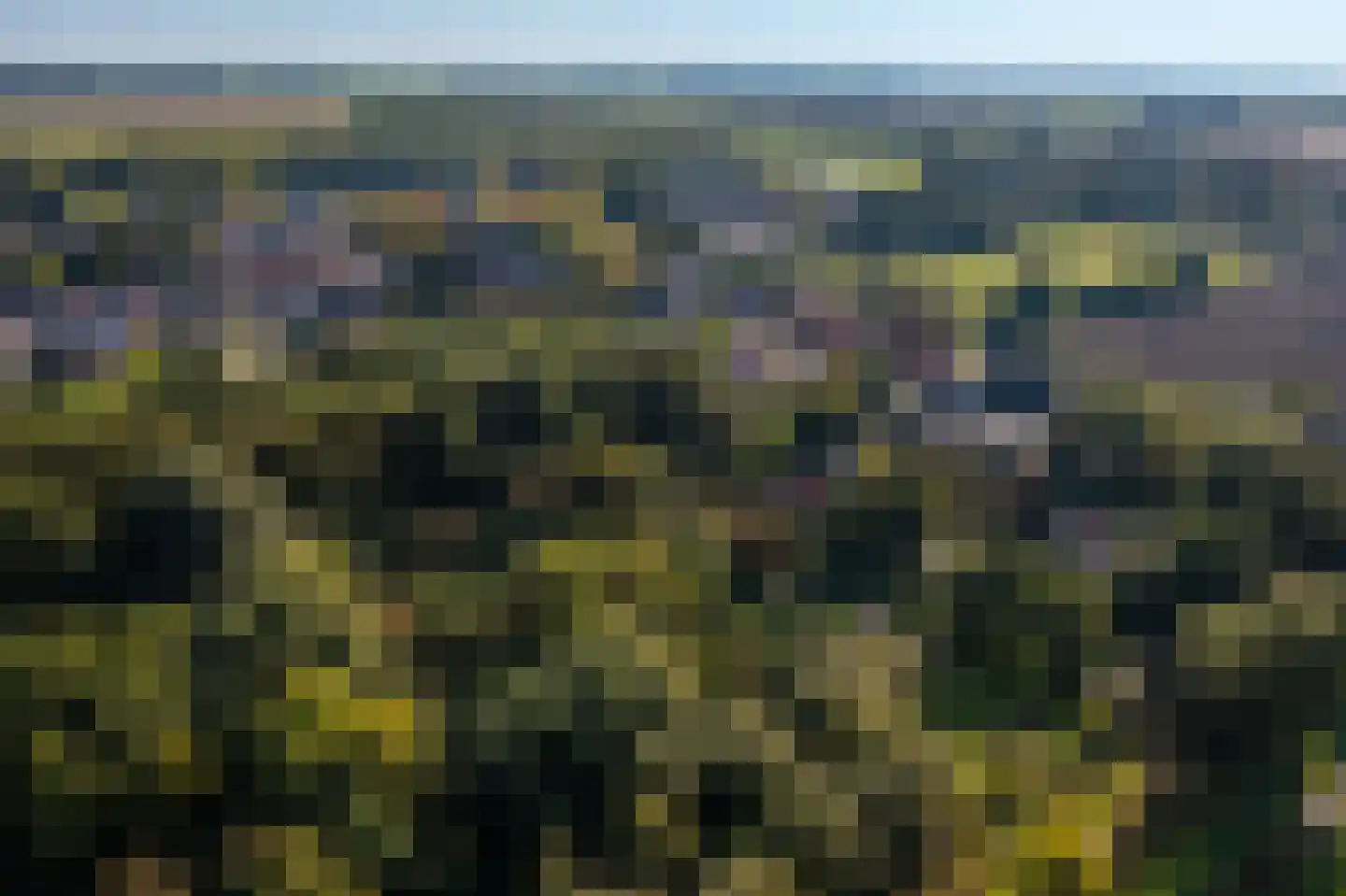 Kerklaan 2 't Zandt thumbnail 10