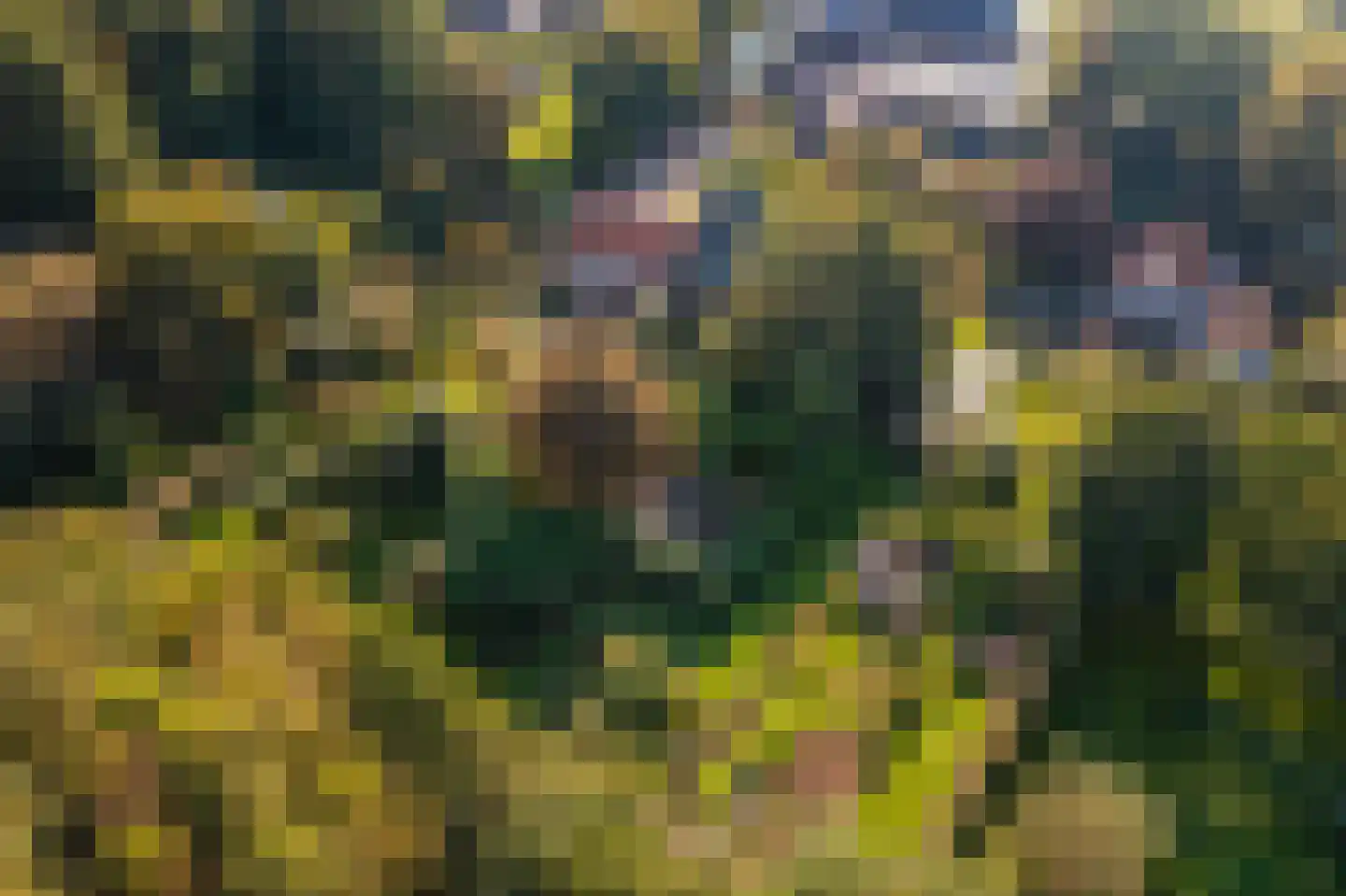 Kerklaan 2 't Zandt thumbnail 11