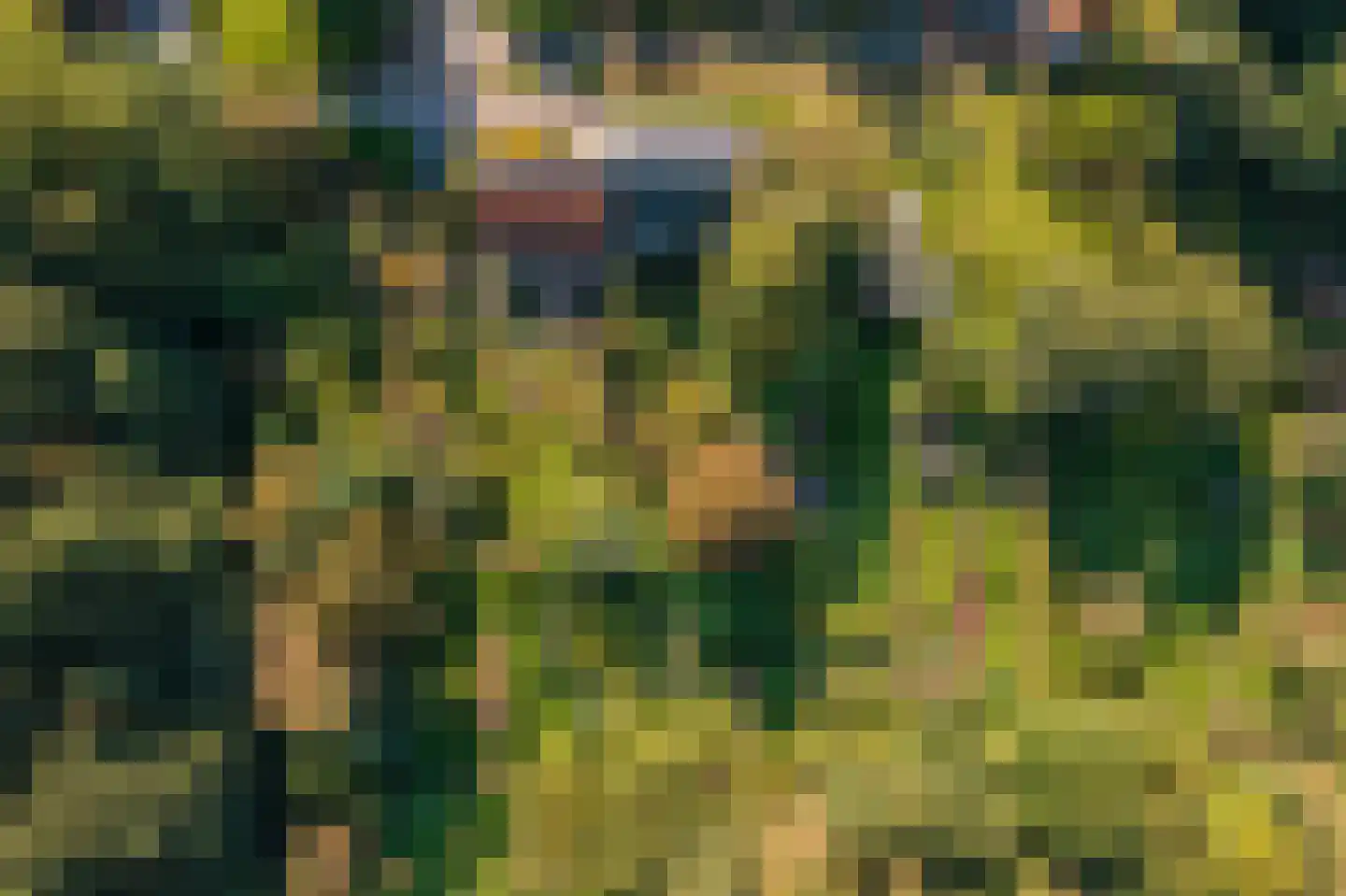 Kerklaan 2 't Zandt thumbnail 12